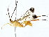  ( - BIOUG77764-B09)  @11 [ ] CreativeCommons - Attribution (2022) CBG Photography Group Centre for Biodiversity Genomics
