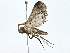  ( - BIOUG76516-F08)  @11 [ ] CreativeCommons - Attribution (2022) CBG Photography Group Centre for Biodiversity Genomics