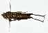  ( - BIOUG76516-H03)  @11 [ ] CreativeCommons - Attribution (2022) CBG Photography Group Centre for Biodiversity Genomics