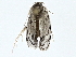  (Antaeotricha Malaise4187 - BIOUG77717-E09)  @11 [ ] CreativeCommons - Attribution (2022) CBG Photography Group Centre for Biodiversity Genomics