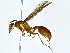  ( - BIOUG77717-F08)  @11 [ ] CreativeCommons - Attribution (2022) CBG Photography Group Centre for Biodiversity Genomics
