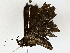  ( - BIOUG77717-H05)  @11 [ ] CreativeCommons - Attribution (2022) CBG Photography Group Centre for Biodiversity Genomics