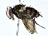  ( - BIOUG77718-C10)  @11 [ ] CreativeCommons - Attribution (2022) CBG Photography Group Centre for Biodiversity Genomics