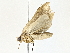  ( - BIOUG77718-H02)  @11 [ ] CreativeCommons - Attribution (2022) CBG Photography Group Centre for Biodiversity Genomics