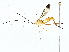  ( - BIOUG77719-B05)  @11 [ ] CreativeCommons - Attribution (2022) CBG Photography Group Centre for Biodiversity Genomics