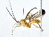  ( - BIOUG77733-A07)  @11 [ ] CreativeCommons - Attribution (2022) CBG Photography Group Centre for Biodiversity Genomics