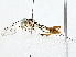  ( - BIOUG77733-B02)  @11 [ ] CreativeCommons - Attribution (2022) CBG Photography Group Centre for Biodiversity Genomics