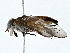  ( - BIOUG77733-C09)  @11 [ ] CreativeCommons - Attribution (2022) CBG Photography Group Centre for Biodiversity Genomics