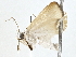  ( - BIOUG77733-E02)  @13 [ ] CreativeCommons - Attribution (2022) CBG Photography Group Centre for Biodiversity Genomics