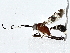  ( - BIOUG77733-E12)  @11 [ ] CreativeCommons - Attribution (2022) CBG Photography Group Centre for Biodiversity Genomics