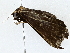  ( - BIOUG77734-E06)  @11 [ ] CreativeCommons - Attribution (2022) CBG Photography Group Centre for Biodiversity Genomics