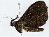  ( - BIOUG77734-E07)  @11 [ ] CreativeCommons - Attribution (2022) CBG Photography Group Centre for Biodiversity Genomics