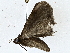  ( - BIOUG77734-E10)  @11 [ ] CreativeCommons - Attribution (2022) CBG Photography Group Centre for Biodiversity Genomics