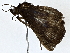  ( - BIOUG77734-E12)  @11 [ ] CreativeCommons - Attribution (2022) CBG Photography Group Centre for Biodiversity Genomics