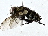  ( - BIOUG77734-F09)  @11 [ ] CreativeCommons - Attribution (2022) CBG Photography Group Centre for Biodiversity Genomics