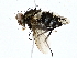  ( - BIOUG77736-A07)  @11 [ ] CreativeCommons - Attribution (2022) CBG Photography Group Centre for Biodiversity Genomics