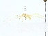  (Erioloides - BIOUG77749-B09)  @11 [ ] CreativeCommons - Attribution (2022) CBG Photography Group Centre for Biodiversity Genomics