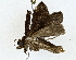  ( - BIOUG77750-B01)  @11 [ ] CreativeCommons - Attribution (2022) CBG Photography Group Centre for Biodiversity Genomics