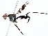  ( - BIOUG77752-B06)  @11 [ ] CreativeCommons - Attribution (2022) CBG Photography Group Centre for Biodiversity Genomics