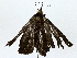  ( - BIOUG77764-D08)  @11 [ ] CreativeCommons - Attribution (2022) CBG Photography Group Centre for Biodiversity Genomics