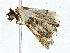  ( - BIOUG77764-F03)  @11 [ ] CreativeCommons - Attribution (2022) CBG Photography Group Centre for Biodiversity Genomics