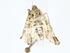  (Samea Malaise5813 - BIOUG77737-E10)  @11 [ ] CreativeCommons - Attribution (2022) CBG Photography Group Centre for Biodiversity Genomics