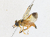  ( - CBG-A17531-B01)  @11 [ ] CreativeCommons - Attribution Share-Alike (2023) CBG Photography Group Centre for Biodiversity Genomics
