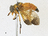  ( - CBG-A17537-B11)  @11 [ ] CreativeCommons - Attribution Share - Alike (2023) CBG Photography Group Centre for Biodiversity Genomics