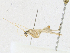  (spiloBioMalaise8906 - CBG-A17537-C06)  @11 [ ] CreativeCommons - Attribution Share - Alike (2023) CBG Photography Group Centre for Biodiversity Genomics