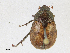  ( - CBG-A17537-F09)  @11 [ ] CreativeCommons - Attribution Share - Alike (2023) CBG Photography Group Centre for Biodiversity Genomics