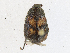  ( - CBG-A17538-A01)  @11 [ ] CreativeCommons - Attribution Share-Alike (2023) CBG Photography Group Centre for Biodiversity Genomics