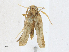  ( - CBG-A17538-C02)  @11 [ ] CreativeCommons - Attribution Share-Alike (2023) CBG Photography Group Centre for Biodiversity Genomics