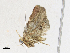  ( - CBG-A17539-F01)  @11 [ ] CreativeCommons - Attribution Share-Alike (2023) CBG Photography Group Centre for Biodiversity Genomics