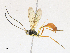  ( - CBG-A17540-G04)  @11 [ ] CreativeCommons - Attribution Share-Alike (2023) CBG Photography Group Centre for Biodiversity Genomics