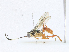  ( - CBG-A17540-H06)  @11 [ ] CreativeCommons - Attribution Share-Alike (2023) CBG Photography Group Centre for Biodiversity Genomics