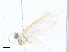  ( - CBG-A17540-H10)  @11 [ ] CreativeCommons - Attribution Share-Alike (2023) CBG Photography Group Centre for Biodiversity Genomics
