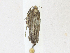  ( - CBG-A21658-F10)  @11 [ ] CreativeCommons - Attribution Share-Alike (2023) CBG Photography Group Centre for Biodiversity Genomics