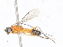  ( - CBG-A21699-H11)  @11 [ ] CreativeCommons - Attribution Share-Alike (2023) CBG Photography Group Centre for Biodiversity Genomics