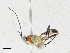  ( - CBG-A21729-E06)  @11 [ ] CreativeCommons - Attribution Share-Alike (2023) CBG Photography Group Centre for Biodiversity Genomics