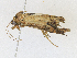  ( - CBG-A21729-E09)  @11 [ ] CreativeCommons - Attribution Share-Alike (2023) CBG Photography Group Centre for Biodiversity Genomics