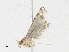  ( - CBG-A21730-F08)  @11 [ ] CreativeCommons - Attribution Share-Alike (2023) CBG Photography Group Centre for Biodiversity Genomics