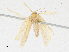  ( - CBG-A21730-F09)  @11 [ ] CreativeCommons - Attribution Share-Alike (2023) CBG Photography Group Centre for Biodiversity Genomics