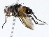  ( - BIOUG73664-A07)  @11 [ ] CreativeCommons - Attribution (2022) CBG Photography Group Centre for Biodiversity Genomics
