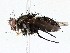  ( - BIOUG73665-D07)  @11 [ ] CreativeCommons - Attribution (2022) CBG Photography Group Centre for Biodiversity Genomics