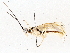  ( - BIOUG73665-G03)  @11 [ ] CreativeCommons - Attribution (2022) CBG Photography Group Centre for Biodiversity Genomics