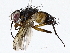  ( - BIOUG73666-A08)  @11 [ ] CreativeCommons - Attribution (2022) CBG Photography Group Centre for Biodiversity Genomics