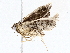  ( - BIOUG73666-C08)  @11 [ ] CreativeCommons - Attribution (2022) CBG Photography Group Centre for Biodiversity Genomics