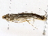  ( - BIOUG73666-G06)  @11 [ ] CreativeCommons - Attribution (2022) CBG Photography Group Centre for Biodiversity Genomics