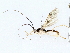  ( - BIOUG73667-A10)  @11 [ ] CreativeCommons - Attribution (2022) CBG Photography Group Centre for Biodiversity Genomics