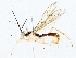  ( - BIOUG73667-B05)  @11 [ ] CreativeCommons - Attribution (2022) CBG Photography Group Centre for Biodiversity Genomics